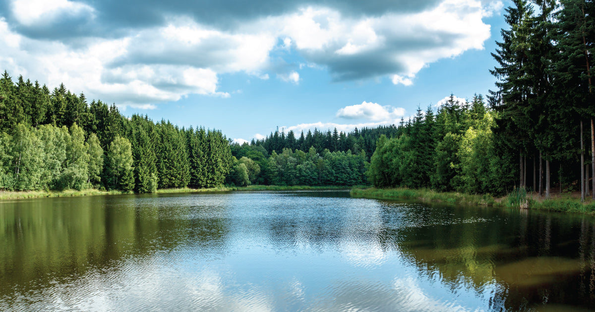 Lake and Reservoir Pollution: How You Can Help Protect Local Water