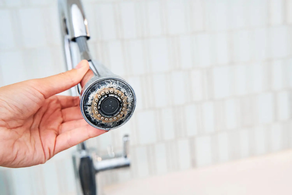 What Are the Best Whole Home Water Filtration Systems for Hard Water? A Clear, Honest Breakdown