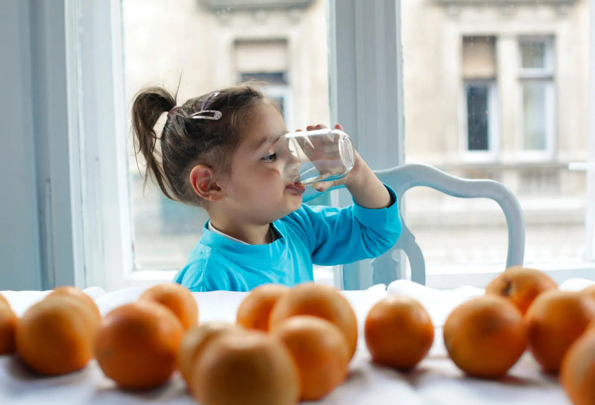 Navigating the Waters: Top Trends in Home Water Filtration Systems for 2025
