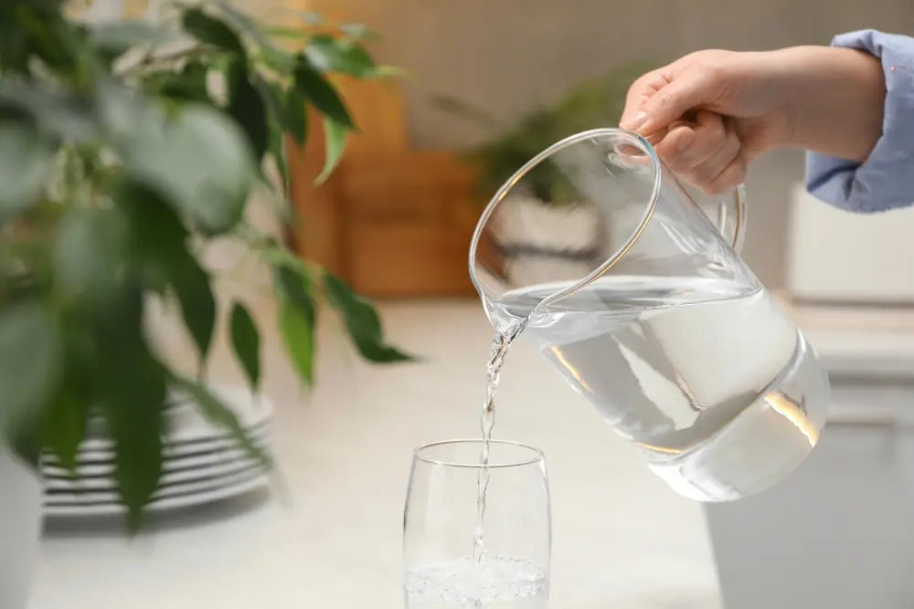 Why Eco-Friendly Water Filters Like the ECO-X Are the Future